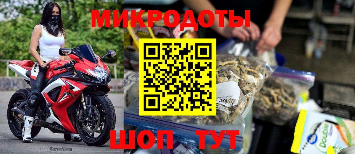 Псилоцибиновые грибы мицелий Кстово